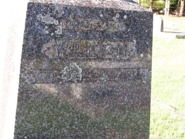 Denis BROLAN,  | died 7 Feb 1942 aged 79 years;  | Bridget, wife,  | died 6 May 1946 aged 90 years;  | Bridget, daughter,  | died 5 Oct 1907;  | William, son,  | died 29 June 1908;  | Gleneagle Catholic cemetery, Beaudesert Shire  | 
