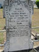 Ellie
(wife of) George STORY
b: 28 May 1857, d: 11 Jan 1916
(eldest son) Tom
b: 9 Nov 1883, d: 13 Aug 1903
Gods Acre cemetery, Archerfield, Brisbane