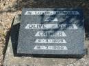 Olive Vera GRENIER
b: 6 Apr 1899, d: 16 Jul 1980
Gods Acre cemetery, Archerfield, Brisbane