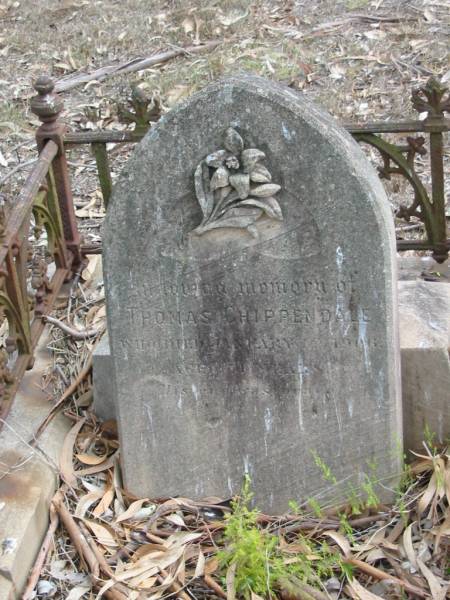 Thomas CHIPPENDALE, died 1 Jan 1906 aged 51;  | Goodna General Cemetery, Ipswich.  | 