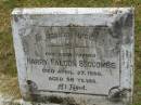 Harry Falcon SECCOMBE,
father,
died 27 April 1936 aged 58 years;
Goomeri cemetery, Kilkivan Shire