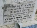 Dorsay RILEY,
husband father,
died 13 Oct 1950 aged 61 years;
Gladys Mary Louisa,
mother,
died 27 Aug 1987 aged 86 years;
Goomeri cemetery, Kilkivan Shire