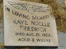 Kaye Noelle FRIEDRICH,
died 21 Aug 1953 aged 8 weeks;
Goomeri cemetery, Kilkivan Shire