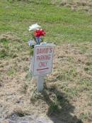 David;
Goomeri cemetery, Kilkivan Shire