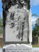 wife
Maud Amelia DAWES
23 Mar 1917
25 yrs
St Matthews (Anglican) Grovely, Brisbane