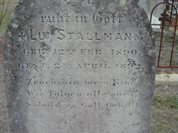 Lui STALLMANN,  | born 12 Feb 1890 died 2 April 1892;  | Haigslea Lawn Cemetery, Ipswich  | 