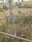 Patrick KINNANE
d: 17 July 1895, aged 76
Ann (his wife)
d: 9 May 1896 aged 79
Harrisville Cemetery - Scenic Rim Regional Council