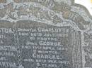 Eliza JOHNSTON
d: Jan 1871, aged 66
Charles JOHNSTON
d: 7 Jan 1909, aged 64
(wife) Martha (JOHNSTON)
d: 23 Aug 1943, aged 89
(dau) Charlotte (JOHNSTON)
d: 26 Jul 1873, aged 20 months
(son) George (JOHNSTON)
d: 13 Apr 1883, aged 11 months
(son) Charles (JOHNSTON)
d: 20 Feb 1887, aged 9 years
(son) Andrew (JOHNSTONE)
d: 15 Mar 1887, aged 7 months
Harrisville Cemetery - Scenic Rim Regional Council