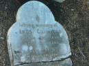 James CRAWFORD
d: 4 Jul 1895, aged 60
(wife) Janet (CRAWFORD)
d: 8 Jan ?? aged 65
(granddaughter) Jemima C GRANT
d: 23 Jun 1879, aged 10 months
Harrisville Cemetery - Scenic Rim Regional Council