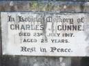 Charles J. GUNNE (Joe),
died 23 July 1917 aged 25 years;
Catherine GUNNE,
died 21 April 1928 aged 66 years;
Charles GUNNE,
died 3 Jan 1936 aged 72 years;
Patrick CRONIN (Paddie),
died 29 June 1933 aged 4 years;
Catherine CRONIN (Katie),
died 11 Nov 1932 aged 37 years;
Helidon Catholic cemetery, Gatton Shire