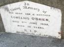 Conelius OBRIEN, son brother,
died 9 June 1952 aged 32 years;
Helidon Catholic cemetery, Gatton Shire