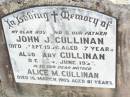 John J. CULLINAN, husband father,
died 3 Sept 1956 aged 57 years;
baby CULLINAN,
died 24 June 1957;
Alice M. CULLINAN,
died 16 March 1985 aged 81 years;
Helidon Catholic cemetery, Gatton Shire