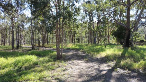   | Herberton Pioneer - Rose Lane Cemetery  |   |   | 