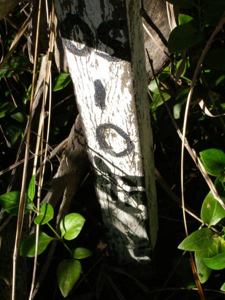 Hoya/Boonah Baptist Cemetery, Boonah Shire  | 