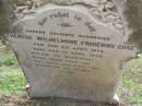 Therese Wilhelmine Friderike GUSE
geb 23 Apr 1873, gest 12 Marz 1902
Hoya Lutheran Cemetery, Boonah Shire
