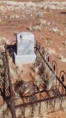 
George Adam GEIGER
who strayed away on July 1 1898 and died from exposure aged 2 years and 4 months

JC pub ruins, Canterbury, Barcoo Shire, QLD
Copyright: Nicholas Fletcher, 2017

