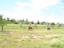 Jimbour Station Historic Cemetery, Wambo Shire