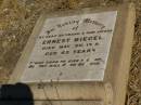 Ernest BIEGEL,
husband father,
died 20 May 1918 aged 63 years;
Jondaryan cemetery, Jondaryan Shire