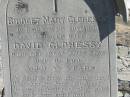 Bridget Mary CLOHESSY,
mother,
wife of David CLOHESSY,
died 16 Dec 1906 aged 33 years;
Annie CLOHESSY,
daughter,
died 4 March 1895 aged 3 years;
Jondaryan cemetery, Jondaryan Shire