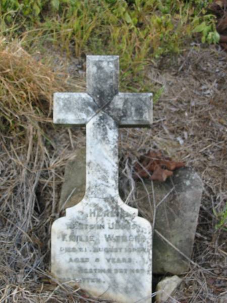 Emilie WEBER  | 21 Aug 1899, aged 8  | Engelsburg Baptist Cemetery, Kalbar, Boonah Shire  | 