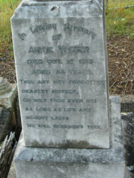 Annie WEBER  | 10? Oct 1919  | aged 43  | Engelsburg Baptist Cemetery, Kalbar, Boonah Shire  | 