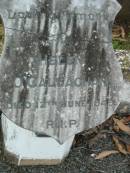 Helen OCALLAGHAN
12 Jun 1949
Kalbar Catholic Cemetery, Boonah Shire
