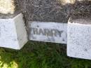 Henry G. (Harry) YOUNG, son brother,
died 23 March 1960 aged 2 years 6 months;
Kandanga Cemetery, Cooloola Shire