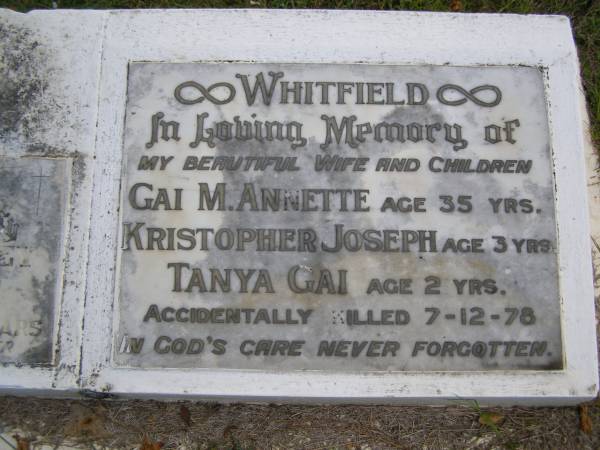 Steven Jeffrey BLANCHARD,  | accidentally killed 17 Dec 1980 aged 17 years,  | with mother;  | wife children;  | Gai M. Annette WHITFIELD, aged 35 years;  | Kristopher Joseph WHITFIELD, aged 3 years;  | Tany Gai WHITFIELD, aged 2 years;  | accidentally killed 7-12-78;  | Kandanga Cemetery, Cooloola Shire  | 