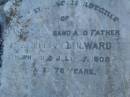 William MILWARD,
husband father,
died 27 July 1908 aged 78 years;
Killarney cemetery, Warwick Shire