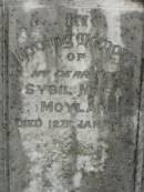 Sybil Myra MOYLAN,
wife,
died 12 Jan 1929;
Loris Desmond MOYLAN,
son,
died 7 Nov 1923;
Killarney cemetery, Warwick Shire