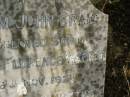 William John Craig,
son of Arthur & Florence WALKER,
died 6 Nov 1922 aged 3 years 11 months;
Killarney cemetery, Warwick Shire