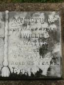 Lydia Caroline WATTS,
mother,
died 18 April 1968 aged 86 years;
Willie WATTS,
father,
died 5 May 1943 aged 65 years;
Killarney cemetery, Warwick Shire