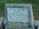 Donnie,
son of William & Hilda GINN,
died 19 Sept 1921 aged 3 years 6 months;
Killarney cemetery, Warwick Shire