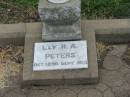 Beresford PETERS,
Mar 1890 - Oct 1967;
Lily R.A. PETERS,
Oct 1890 - Sept 1965;
Killarney cemetery, Warwick Shire