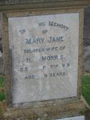 Mary Jane,
wife of H.W. MORRIS,
died 17 June 1916 aged 39 years;
Killarney cemetery, Warwick Shire