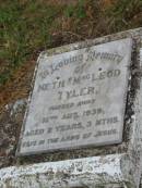 Neth MacLeod TYLER,
died 12 Aug 1939 aged 2 years 3 months;
Killarney cemetery, Warwick Shire