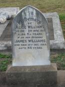 Alice WILLIAMS,
died 3 Nov 1919 aged 33 years;
James WILLIAMS,
husband,
died 10 Dec 1925 aged 43 years;
Killarney cemetery, Warwick Shire