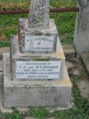 Cornelius Maurice,
son of T.J. & M.E. BROSNAN,
died 17 Sept 1918 aged 6 years 5 months;
Killarney cemetery, Warwick Shire