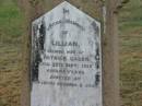 Ernest GAGEN,
son,
died from injuries accidentally received
4 Dec 1907 aged 5 12 years;
Lillian,
wife of Patrick GAGEN,
died 22 Sept 1919 aged 46 years,
erected by husband & sons;
Killarney cemetery, Warwick Shire