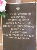 James (Jamie) SJT WALDRON (BRADSHAW),
son grandson nephew,
died 8 Aug 1997 aged 16 years (1981 - 1997);
Lawnton cemetery, Pine Rivers Shire