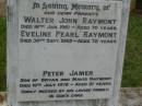 parents;
Walter John RAYMONT,
died 16 Jan 1961 aged 70 years;
Eveline Pearl RAYMONT,
died 30 Sept 1965 aged 72 years;
Peter James,
son of Bryan & Mavis RAYMONT,
died 19 July 1978 aged 21 years;
Lawnton cemetery, Pine Rivers Shire