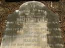 children;
Walter FRANCIS,
born 7 Jan 1903,
died 7 June 1910;
Victor,
born 24 May 1904,
died 29 Dec 1904;
Stephen,
born 31 Jan 1906,
died 25 Aug 1906;
Harold,
born 2 Sept 1907,
died 9 Nov 1908;
Gwendoline,
born 26 Mar 1912,
died 26 Mar 1912;
Harold Walter,
father,
died 9 Sept 1939 aged 63 years;
Lawnton cemetery, Pine Rivers Shire