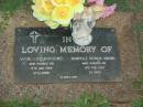 Vicki Lee HODGINS,
stillborn 13 Jan 1984;
Chantelle Patricia HODGINS,
died 11 Feb 1991 aged 22 days;
Lawnton cemetery, Pine Rivers Shire