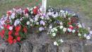 Legume cemetery, Tenterfield, NSW