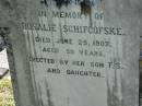 
Rosalie SCHIFCOFSKE
29 Jun 1902, aged 59
(erected by her son F.S. and daughter)
Lowood General Cemetery

