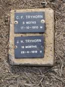 C.F. TRYHORN, male,
died 17-10-1910 aged 5 weeks;
J.H. TRYHORN, male,
died 28-4-1919 aged 18 months;
Ma Ma Creek Anglican Cemetery, Gatton shire