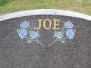 Joseph (Joe) Aaron PLANT,
son brother,
born 2 May 1986
died tragically 12 Nov 2001
aged 15 years 6 months 10 days;
Ma Ma Creek Anglican Cemetery, Gatton shire
