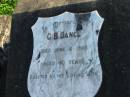 G.B. DANCE, died 8 June 1925 aged 60 years, erected by wife;
Marburg Anglican Cemetery, Ipswich