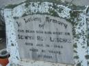 Selwyn Roy LESCHKE, son brother,
died 19 Jan 1948 aged 21 years;
Marburg Lutheran Cemetery, Ipswich