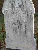 Henry Albert QUALISCHEFSKI,
born 3 Dec 1883 died 23 May 1906 aged 22 years;
Marburg Lutheran Cemetery, Ipswich
